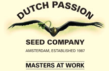 Dutch Passion